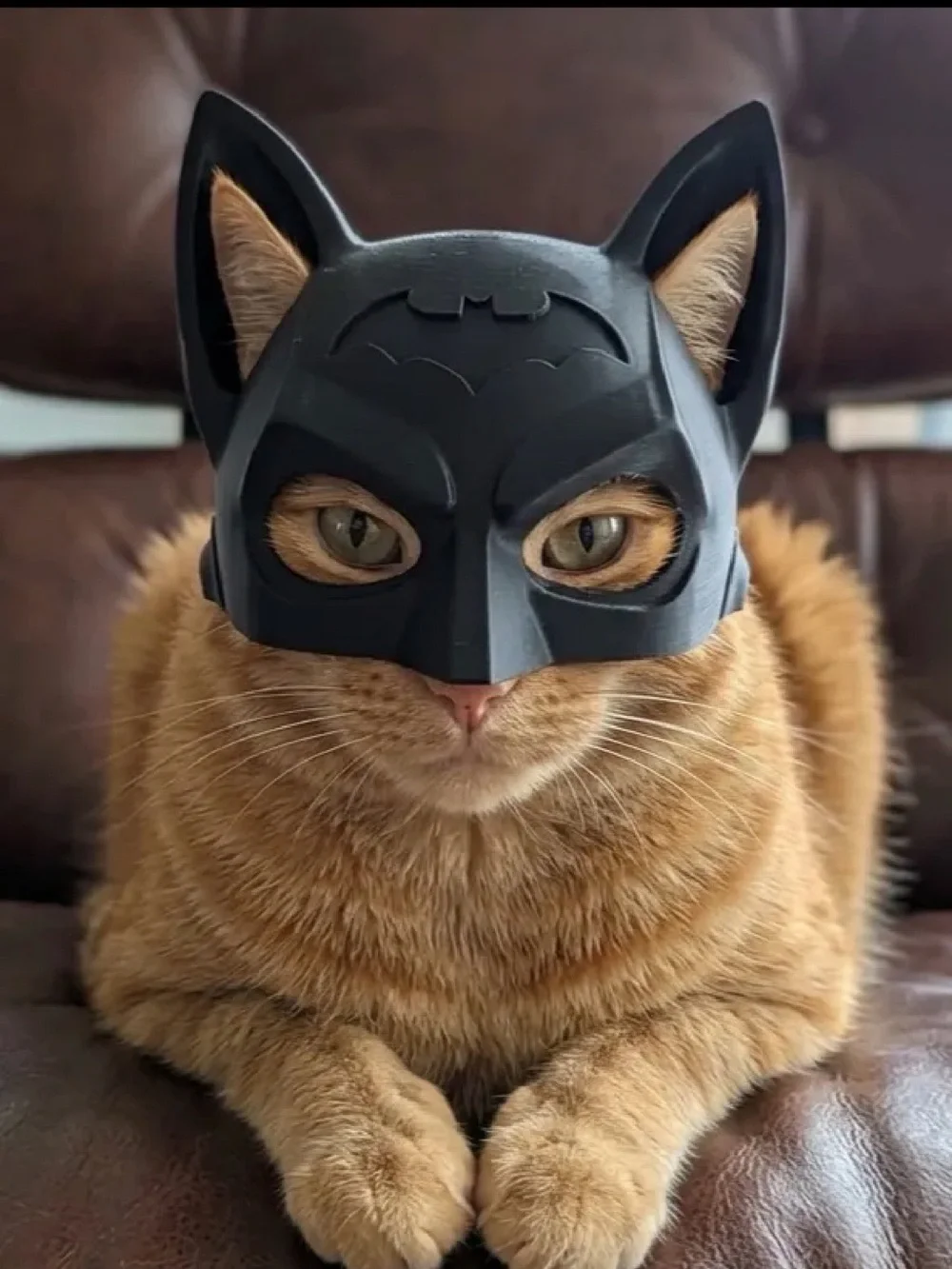 3D Printed Batman Cat Superhero Helmet Costume Pet Accessory